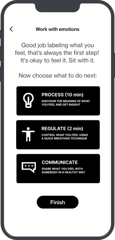 Example screen of the Animi application showing emotion processing, regulation, and communication tools